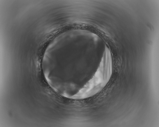 X0000113581013200910161535