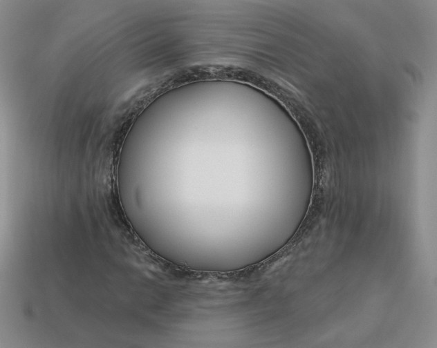 X0000113581014200910161535