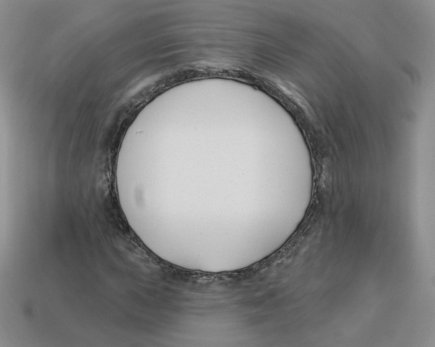 X0000113581015200910161535