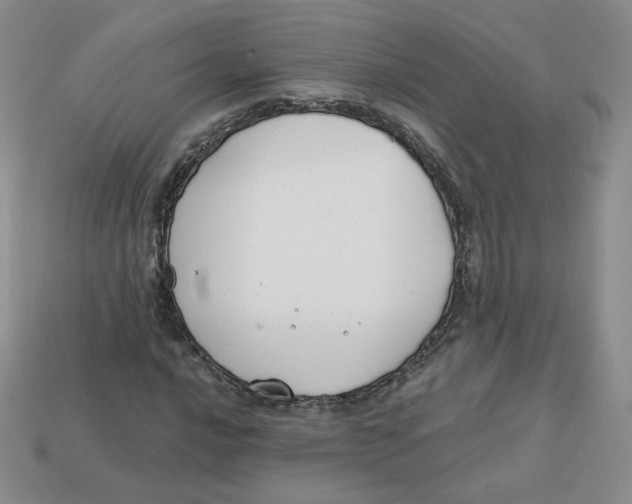 X0000113581016200910161535