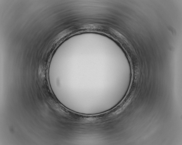 X0000113581017200910161535