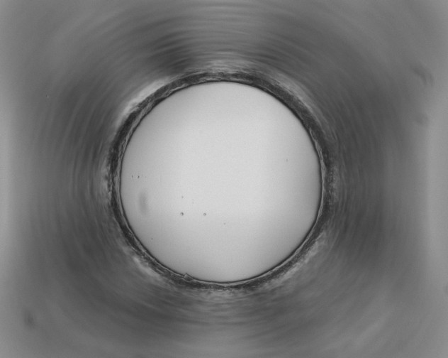 X0000113581018200910161535