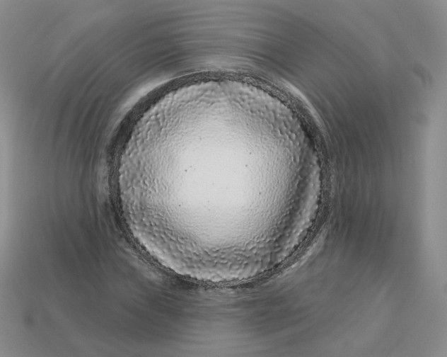 X0000113581019200910161535