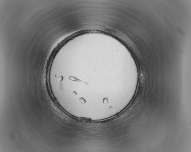 X0000113581020200910161535