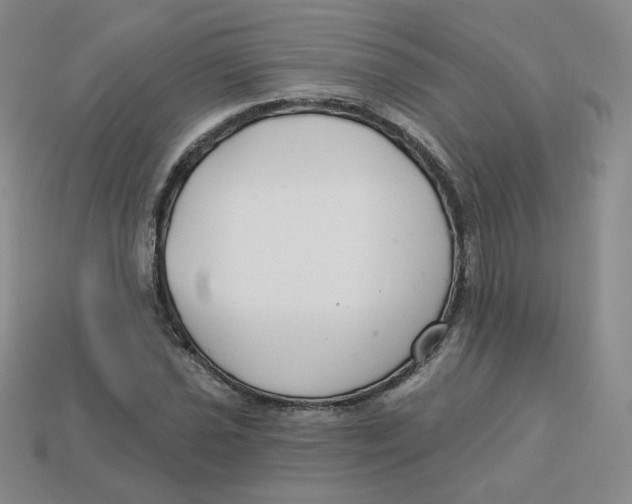 X0000113581021200910161535