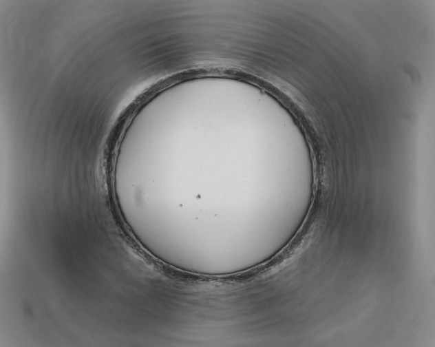 X0000113581022200910161535