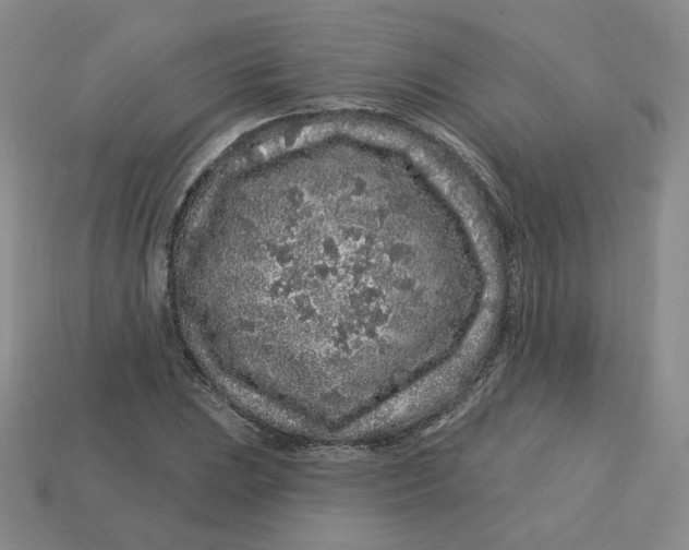 X0000113581023200910161535