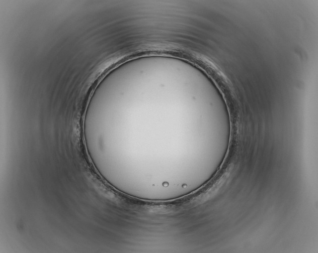 X0000113581025200910161536