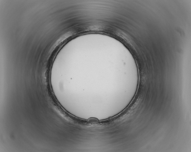 X0000113581026200910161536