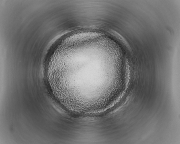 X0000113581027200910161536