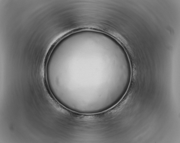 X0000113581028200910161536