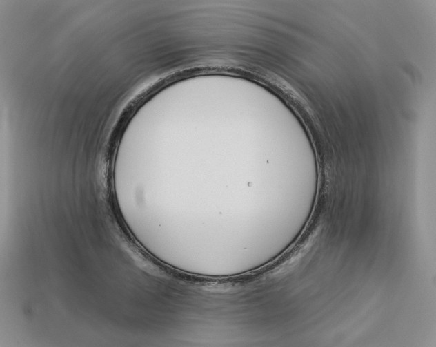 X0000113581029200910161536