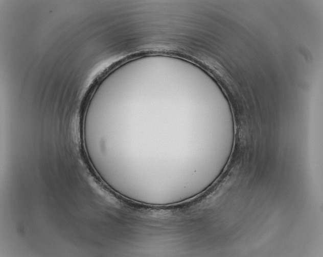 X0000113581030200910161536