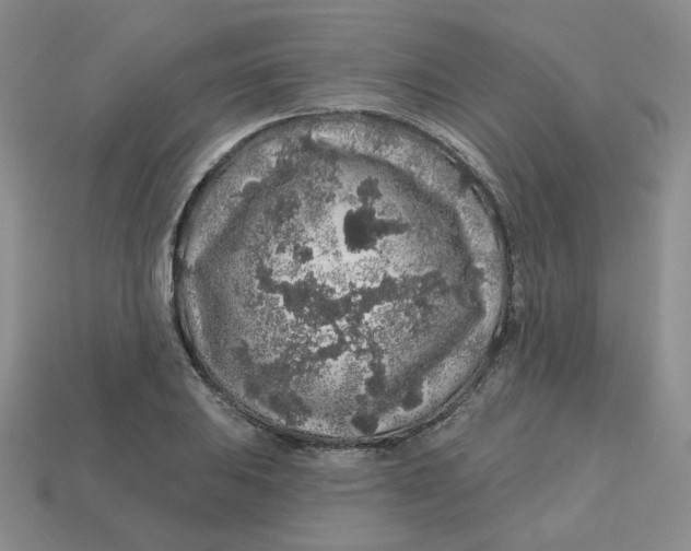 X0000113581031200910161536