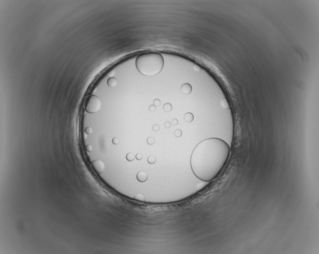 X0000113581032200910161536