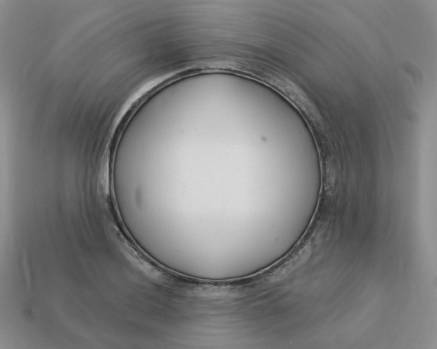 X0000113581036200910161536