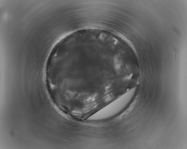 X0000113581037200910161536