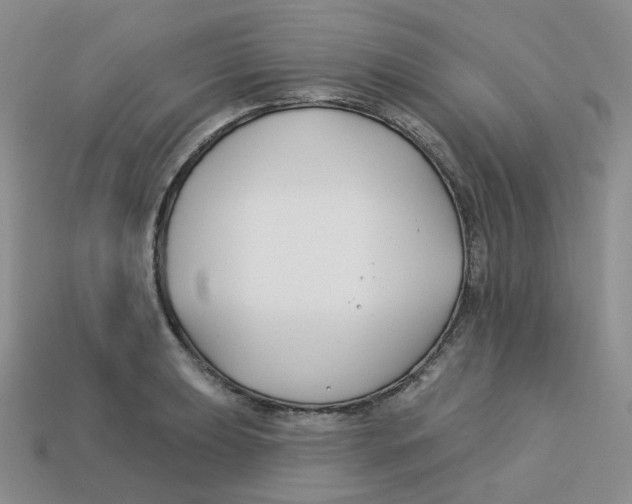 X0000113581039200910161536