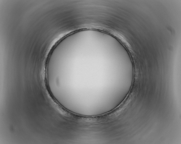 X0000113581040200910161536