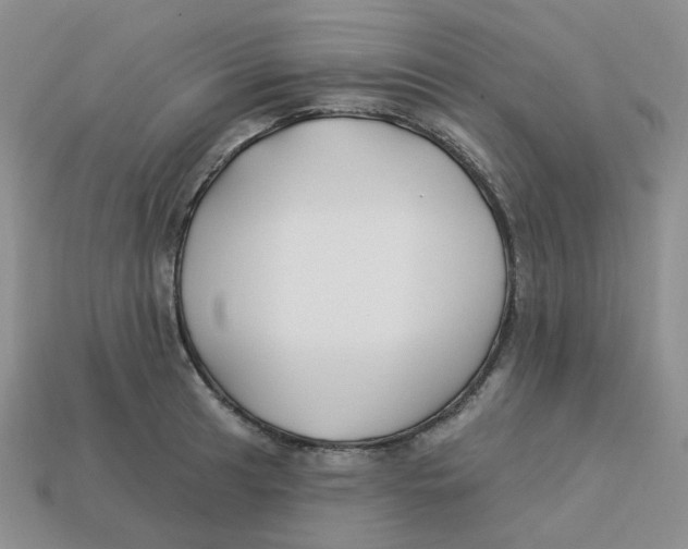 X0000113581041200910161536