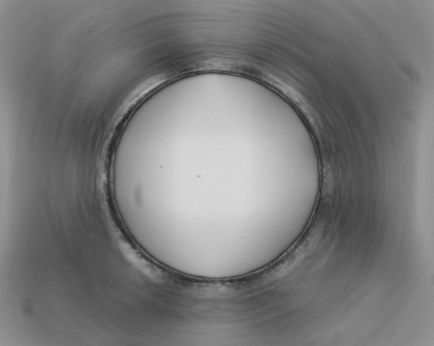 X0000113581042200910161536