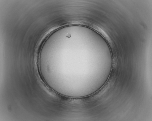 X0000113581043200910161536