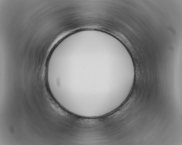 X0000113581044200910161536