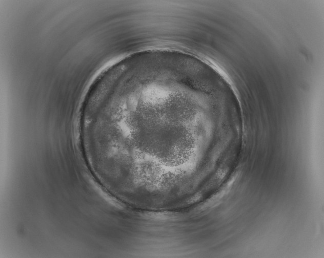 X0000113581045200910161536