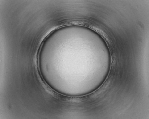 X0000113581047200910161536