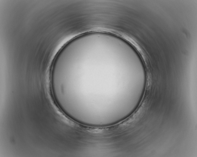 X0000113581048200910161536