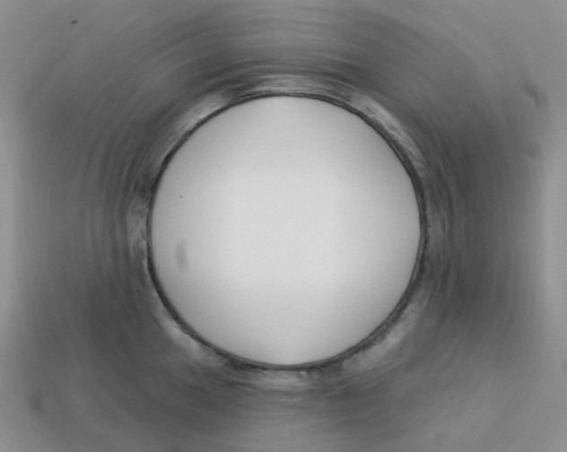 X0000113581049200910161536