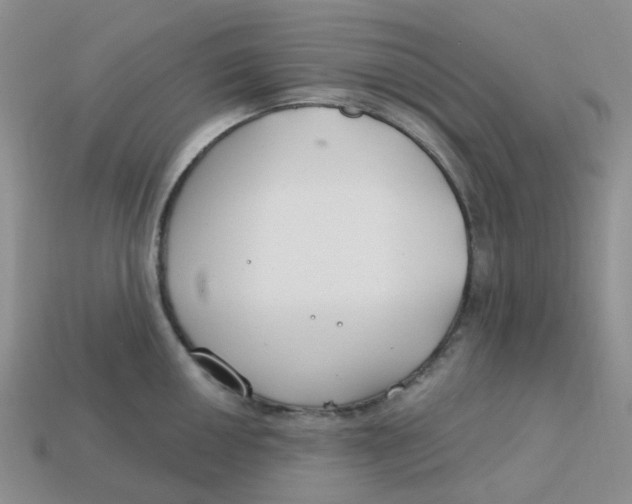 X0000113581050200910161536