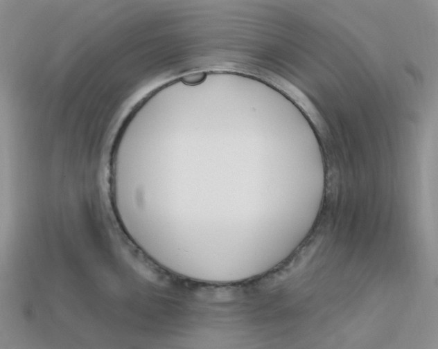 X0000113581051200910161536