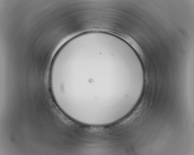 X0000113581052200910161536