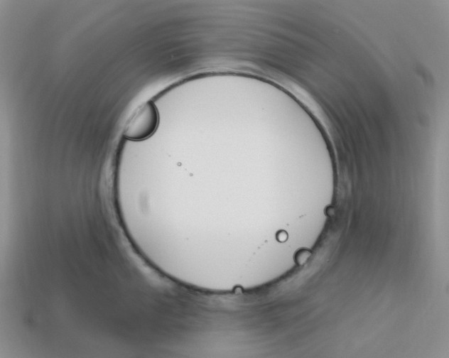 X0000113581053200910161536