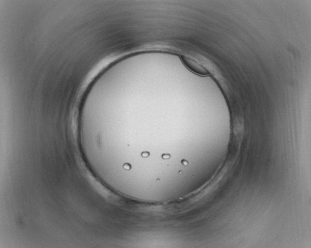 X0000113581054200910161536