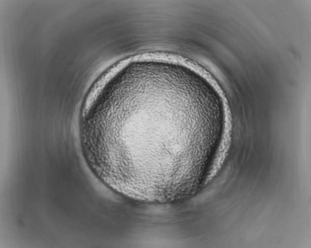 X0000113581055200910161536