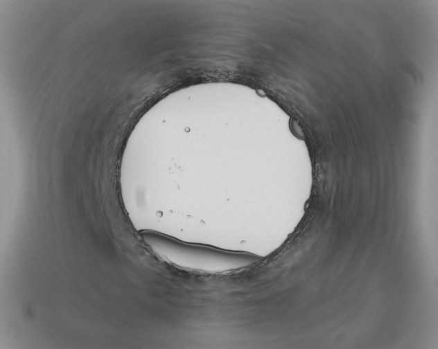 X0000113581057200910161535