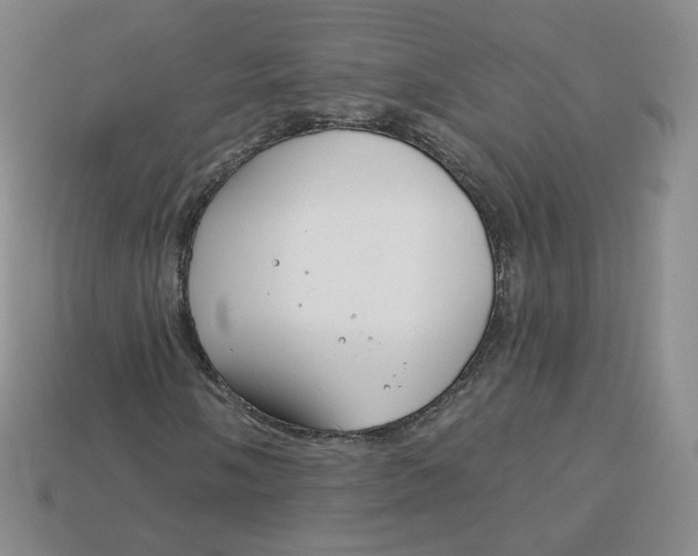 X0000113581058200910161535