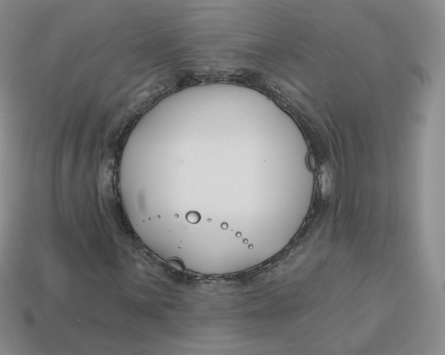 X0000113581059200910161535