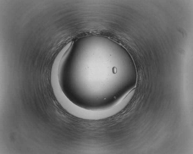 X0000113581060200910161535