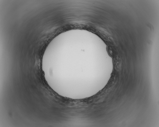 X0000113581061200910161535