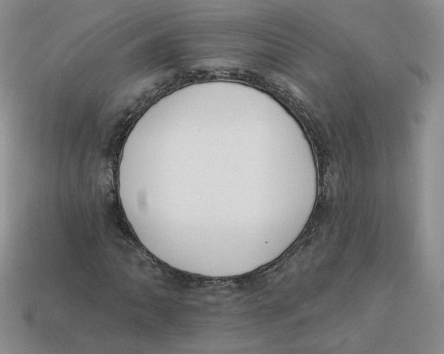 X0000113581062200910161535