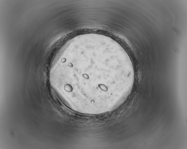 X0000113581064200910161535