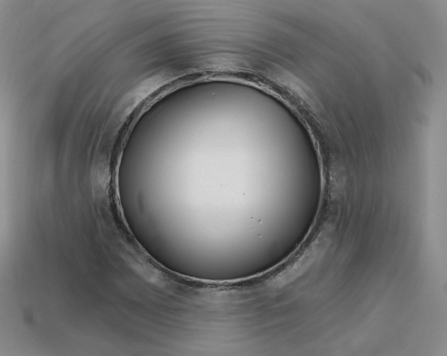 X0000113581065200910161535