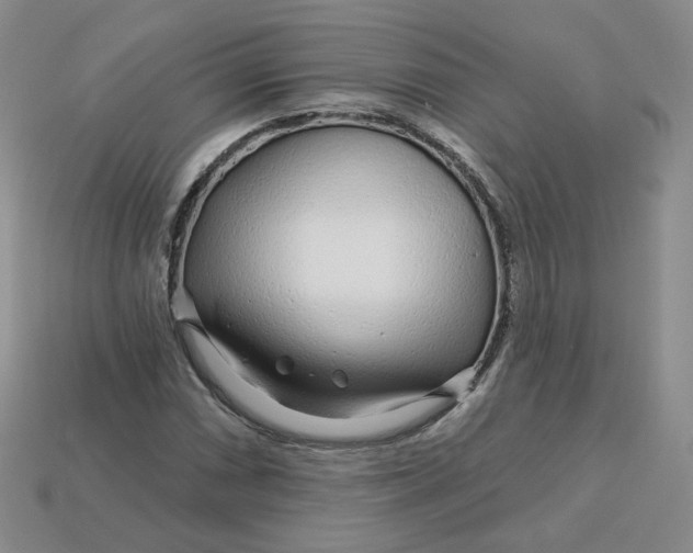 X0000113581066200910161535