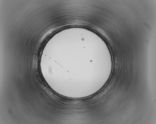 X0000113581067200910161535