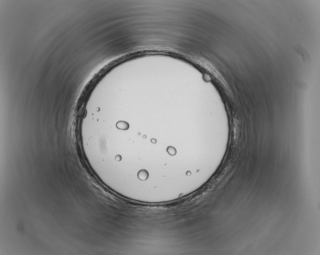 X0000113581068200910161535