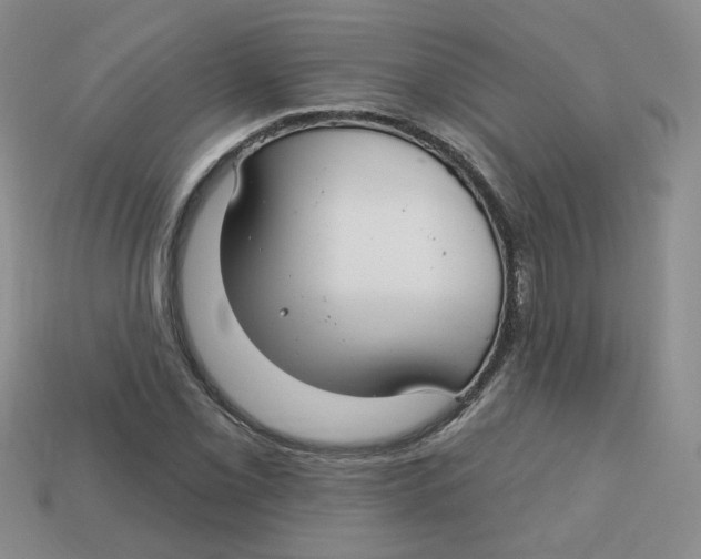 X0000113581069200910161535