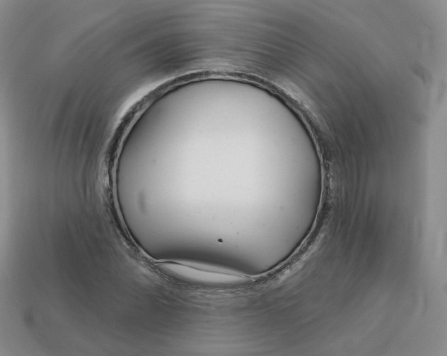 X0000113581070200910161535